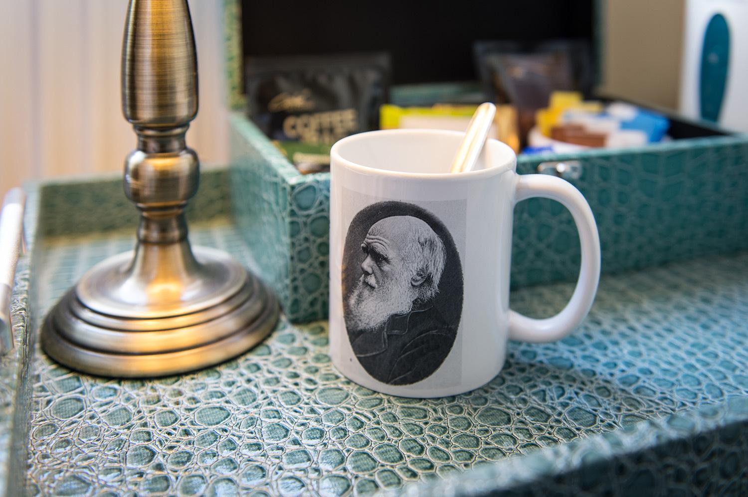 슈루즈버리 다윈스 타운하우스 B&B 객실 사진 A mug with a portrait of Darwin